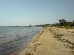 "Тина, жара, вонь... Но нюхать некому - пляжи пустые": соцсети об отдыхе в Крыму