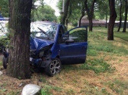 Жуткая авария: иномарка съехала с дороги и врезалась в дерево, передняя часть всмятку
