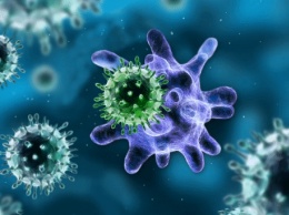 Ученые: иммунитет борется с вирусами при помощи клеток-"камикадзе"