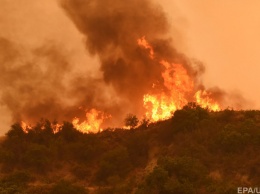 В Канаде одновременно горят почти 200 лесов, более 7 тысяч человек эвакуировали