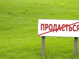 На Днепропетровщине обсудили мораторий на продажу земли
