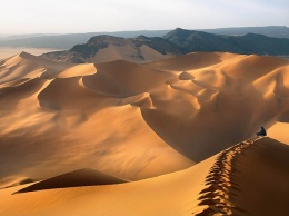 Ученые: Сахара превратится в саванну через сто лет