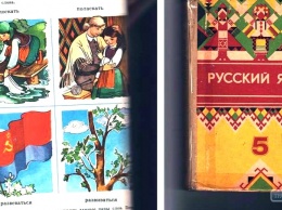 Под Одессой школьного библиотекаря уволили за выдачу книг времен СССР