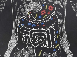Ваше настроение зависит от микробов в животе. Вот как их правильно кормить!