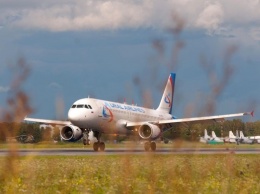 В Крыму стая птиц атаковала пассажирский самолет