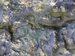 NASA показало снимок кратеров Марса