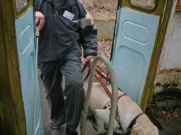 В Киеве отравили собаку-поводыря, единственного друга инвалида