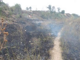 В Мелитополе произошел масштабный пожар (фото)