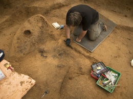 «Щит happens»: археологи нашли под Смоленском артефакт, скрывающий «нечто интересное»