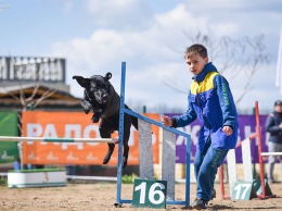 В Павлограде состоятся национальные соревнования по спорту с собаками