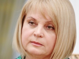 Памфилова обвинила Ройзмана во лжи из-за его слов о непроходимости муниципального фильтра