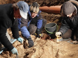 В Кении археологи откопали древнейшие части орудий труда: «палка-копалка» р