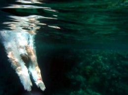 В Запорожской области мужчина исчез под водой на глазах отдыхающих
