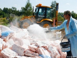 Россия уничтожила 17 тысяч тонн санкционных продуктов за два года