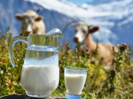 7 причин немедленно отказаться от молока