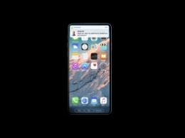 Apple iPhone 8: новый цвет корпуса, высокая цена и другие утечки