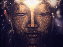 Какие 3 яда отравляют вашу жизнь, согласно буддизму?