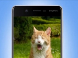 Видео с котятами разоблачило финальный дизайн Nokia 8