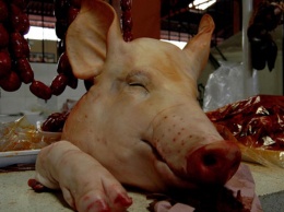 90% людей верят, что свинина вредна. Но оказалось, что это все вранье!