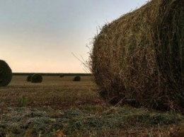 На подконтрольной Украине территории Донецкой области закончили сбор зерновых