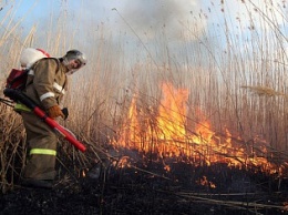 В Бердянске сохраняется пожароопасная погода