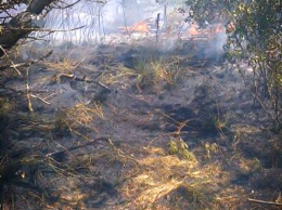 Масштабный пожар на Кинбурнской косе три часа тушили местные жители