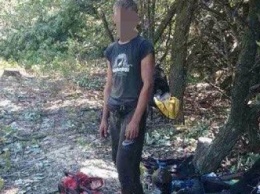 В Луганской области задержали нелегальных лесорубов