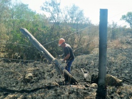 Сгоревшие столбы и оборванные провода: фото после пожара у Троицкого