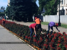 В Павлограде школьникам, которые летом работали, подарят флешки и грамоты