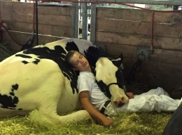 Уснувшие в обнимку мальчик и корова покорили интернет