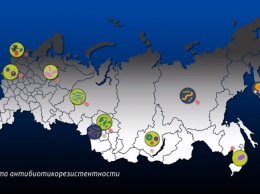 Можно ли умереть в России от инфекции, вызванной супербактерией?