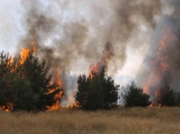 Пожар на левобережье Каменского