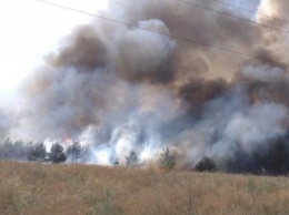 Лесной пожар близ Каменского ликвидирован