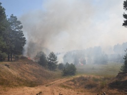 Под Николаевом спасатели тушат мощный лесной пожар