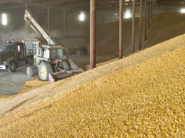 Эксперты повысили прогноз по сбору зерна, отметив падение цен