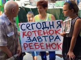 Сегодня котенок - завтра ребенок: зоозащитники пикетировали полицию Святошинского района (фото)