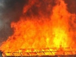 За неделю пожары в ОРДО уничтожили массу растительности и домов, а также убили трех человек
