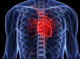 Новая технология помогает диагностировать болезни сердца