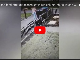 Соседка сняла на видео, как девушка выбрасывает в мусорный бак живого кота