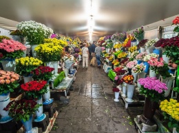 Почем цветы накануне 1 сентября в Запорожье (ФОТО)