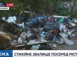 Посреди Киева образовалась стихийная свалка