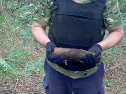 Найденные под Кременчугом боеприпасы уничтожили на специальной площадке (ФОТО)