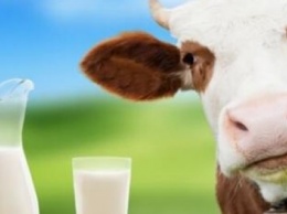 Черниговская область лидирует по производству молока