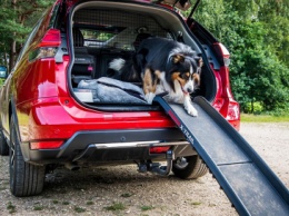 Nissan X-Trail получил комплект аксессуаров для собак