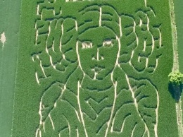 В США на кукурузном поле появился портрет принцессы Леи из "Звездных войн"