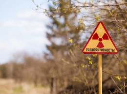 Чернобыльскую АЭС сдадут в аренду французам на 49 лет