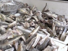 "Рыбный" скандал в Кривом Роге: поставщики продукции пообещали тщательней проверять продукцию