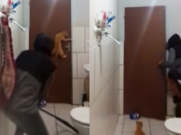 Парень вместе с котом попытался выгнать крысу из ванной. Теперь это ее ванная - видео