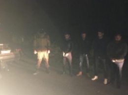 На Закарпатье пограничники задержали автомобиль, в котором украинец вез 4 нелегалов из Сирии и Алжира