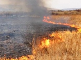 В Черниговской области за сутки тушили пять пожаров экосистем